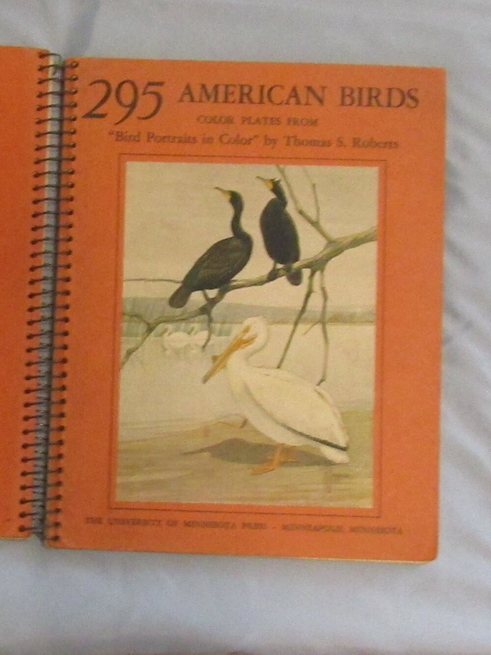 1937 Spiral Book Color BIRD PORTRAITS 295 AMERICAN BIRDS Thomas Roberts 90 Plate